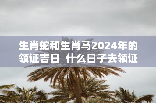 生肖蛇和生肖马2025年的领证吉日 什么日子去领证