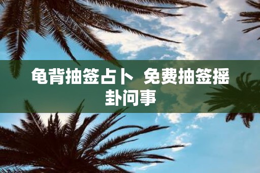龟背抽签占卜 免费抽签摇卦问事