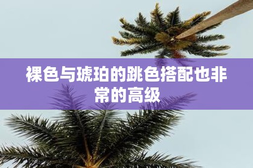 裸色与琥珀的跳色搭配也非常的高级