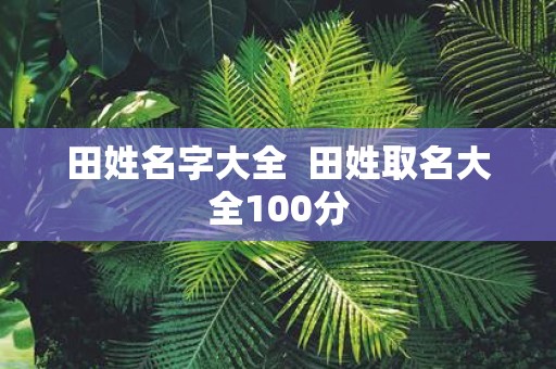 田姓名字大全 田姓取名大全100分