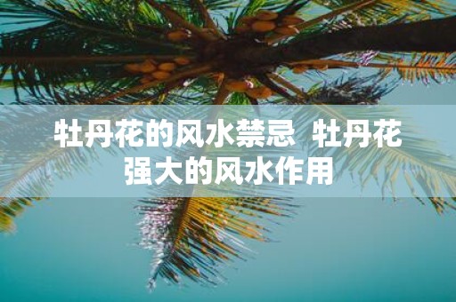 牡丹花的风水禁忌 牡丹花强大的风水作用