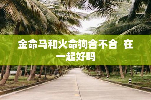 金命马和火命狗合不合 在一起好吗