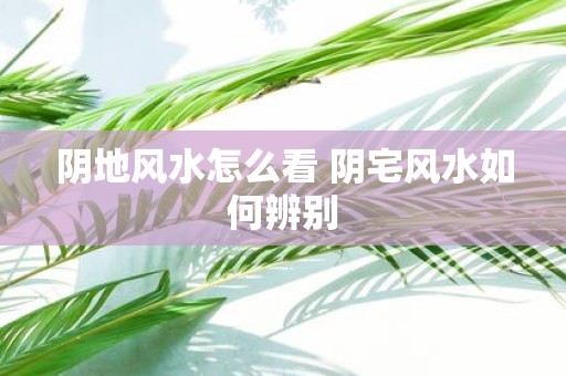 阴地风水怎么看 阴宅风水如何辨别