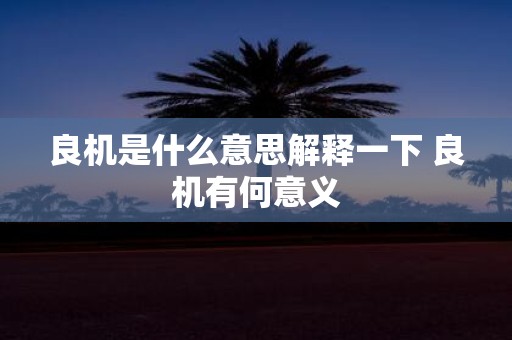 良机是什么意思解释一下 良机有何意义