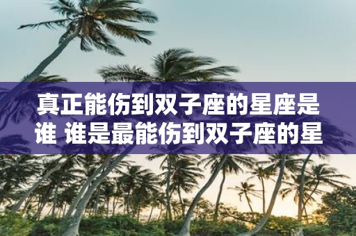 真正能伤到双子座的星座是谁 谁是最能伤到双子座的星座