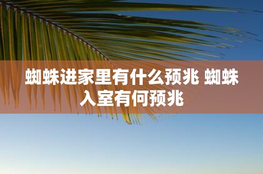 蜘蛛进家里有什么预兆 蜘蛛入室有何预兆