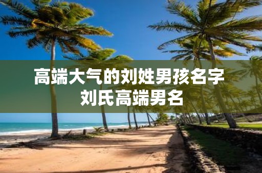 高端大气的刘姓男孩名字 刘氏高端男名