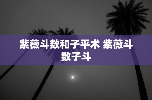 紫薇斗数和子平术 紫薇斗数子斗