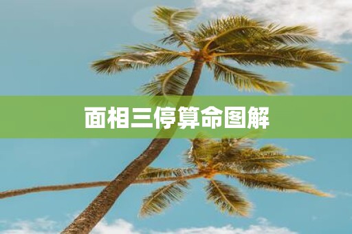 面相三停算命图解