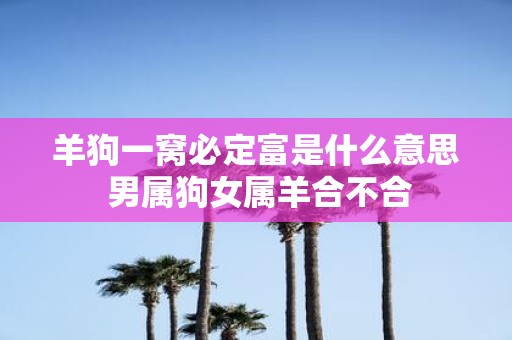 羊狗一窝必定富是什么意思 男属狗女属羊合不合