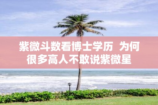 紫微斗数看博士学历 为何很多高人不敢说紫微星