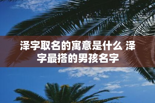 泽字取名的寓意是什么 泽字最搭的男孩名字