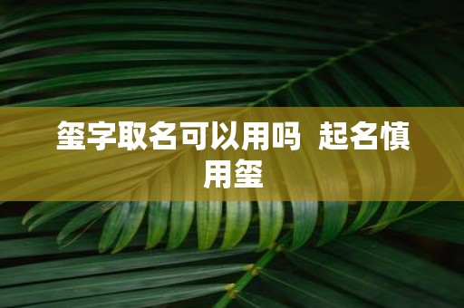 玺字取名可以用吗 起名慎用玺