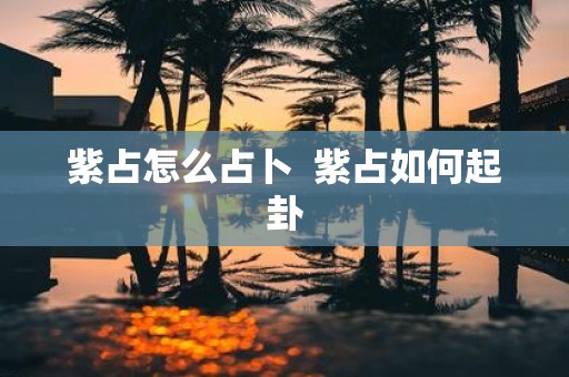 紫占怎么占卜 紫占如何起卦