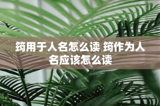 筠用于人名怎么读 筠作为人名应该怎么读