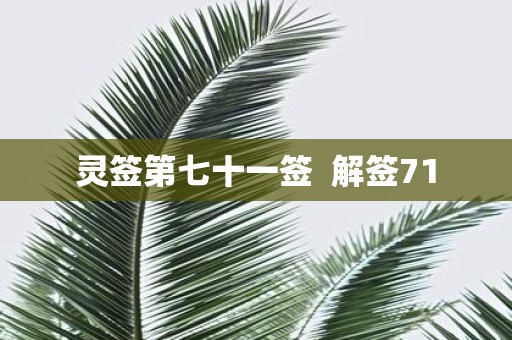 灵签第七十一签 解签71