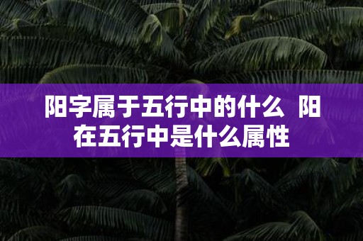 阳字属于五行中的什么 阳在五行中是什么属性