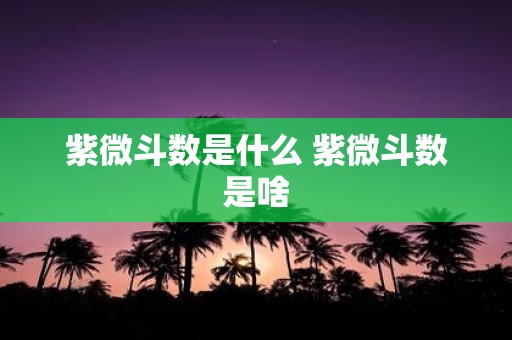 紫微斗数是什么 紫微斗数是啥