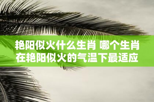 艳阳似火什么生肖 哪个生肖在艳阳似火的气温下最适应