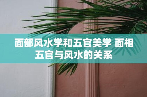 面部风水学和五官美学 面相五官与风水的关系