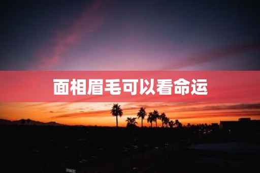 面相眉毛可以看命运