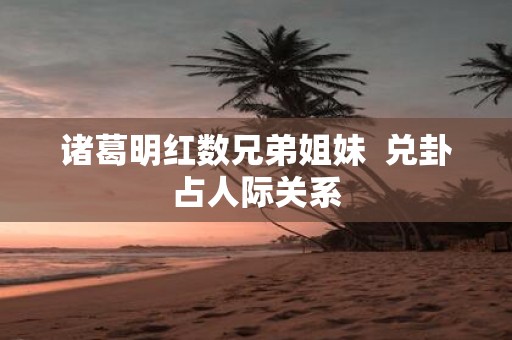 诸葛明红数兄弟姐妹 兑卦占人际关系