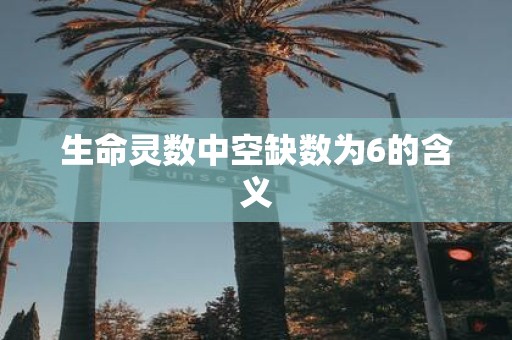生命灵数中空缺数为6的含义