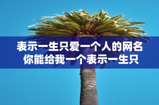 表示一生只爱一个人的网名 你能给我一个表示一生只爱一个人的网名吗