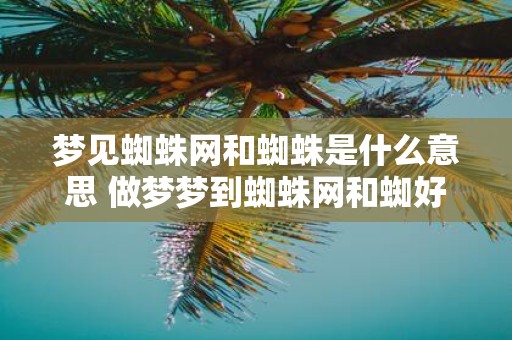梦见蜘蛛网和蜘蛛是什么意思 做梦梦到蜘蛛网和蜘好不好