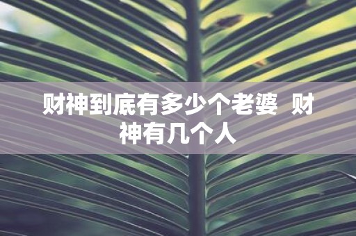 财神到底有多少个老婆 财神有几个人