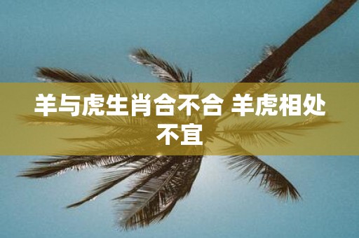 羊与虎生肖合不合 羊虎相处不宜