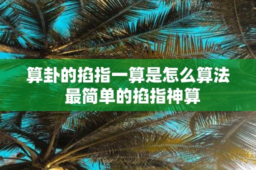 算卦的掐指一算是怎么算法 最简单的掐指神算