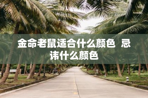 金命老鼠适合什么颜色 忌讳什么颜色