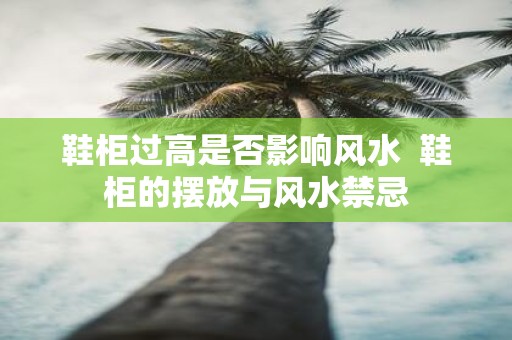 鞋柜过高是否影响风水 鞋柜的摆放与风水禁忌