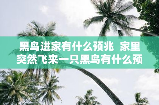 黑鸟进家有什么预兆 家里突然飞来一只黑鸟有什么预兆