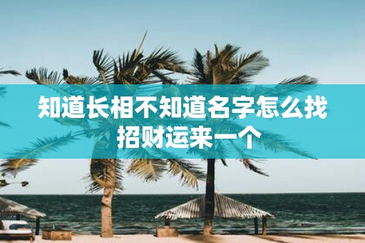 知道长相不知道名字怎么找 招财运来一个