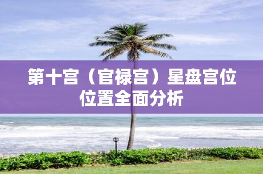 第十宫（官禄宫）星盘宫位位置全面分析