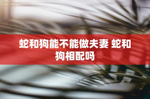 蛇和狗能不能做夫妻 蛇和狗相配吗
