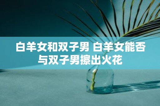 白羊女和双子男 白羊女能否与双子男擦出火花