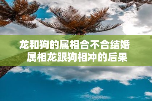 龙和狗的属相合不合结婚 属相龙跟狗相冲的后果