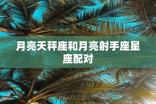月亮天秤座和月亮射手座星座配对