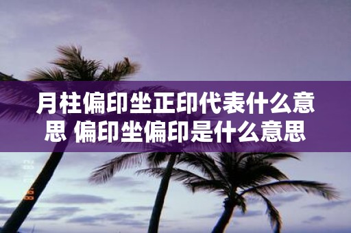 月柱偏印坐正印代表什么意思 偏印坐偏印是什么意思