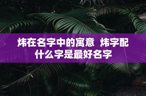 炜在名字中的寓意 炜字配什么字是最好名字