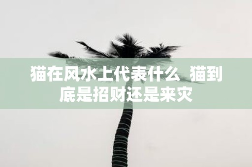 猫在风水上代表什么 猫到底是招财还是来灾