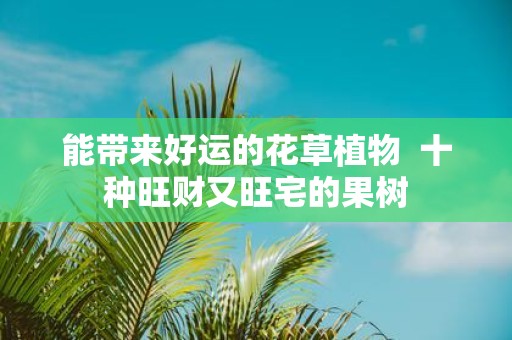 能带来好运的花草植物 十种旺财又旺宅的果树