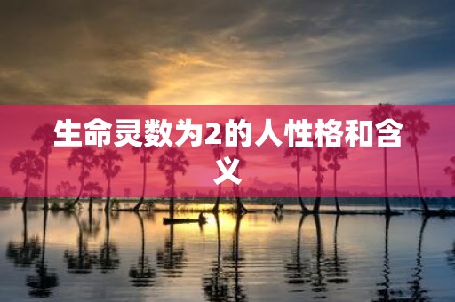 生命灵数为2的人性格和含义