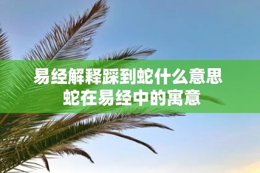 易经解释踩到蛇什么意思 蛇在易经中的寓意