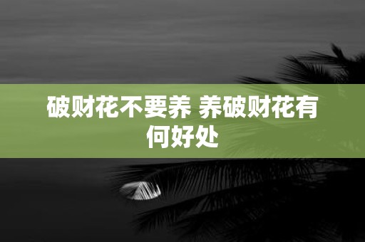 破财花不要养 养破财花有何好处