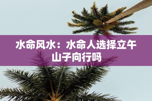 水命风水：水命人选择立午山子向行吗