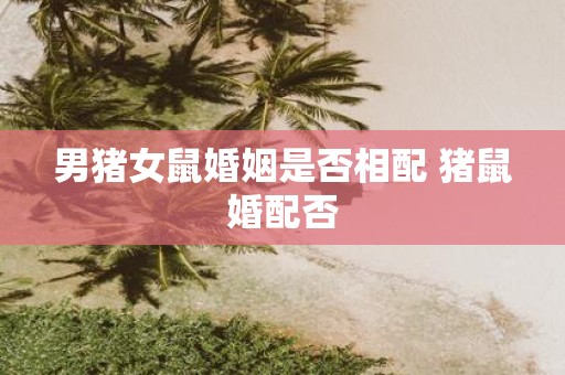 男猪女鼠婚姻是否相配 猪鼠婚配否